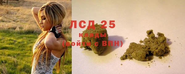спайс Горняк