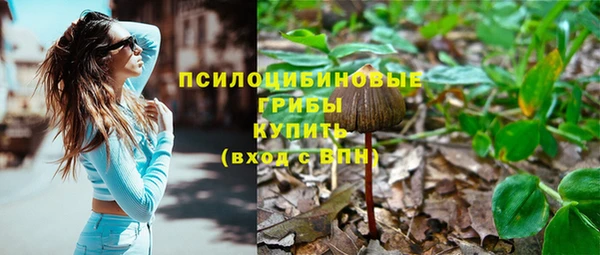 бутират Горно-Алтайск