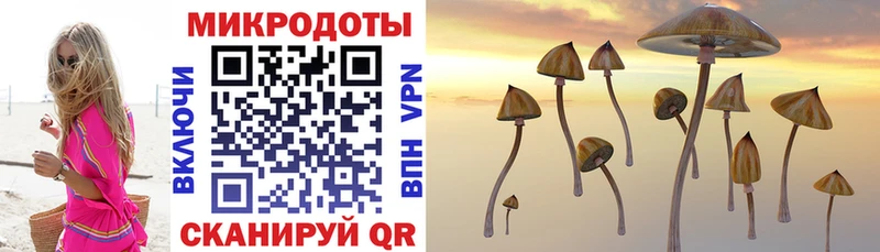 Галлюциногенные грибы Cubensis  Купить  Няндома 