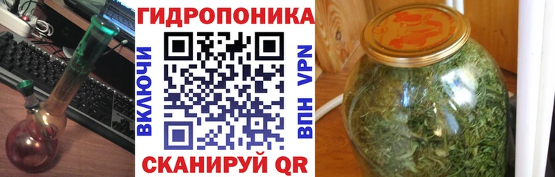 Купить закладки  Няндома  МАРИХУАНА план 